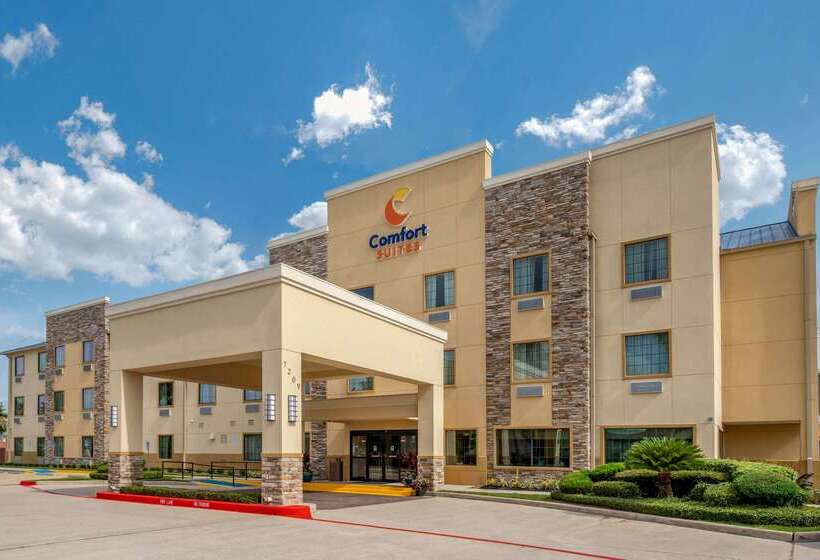 בית מלון כפרי Comfort Suites Baytown I   10