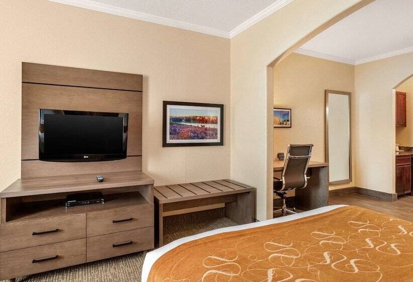 בית מלון כפרי Comfort Suites Baytown I   10