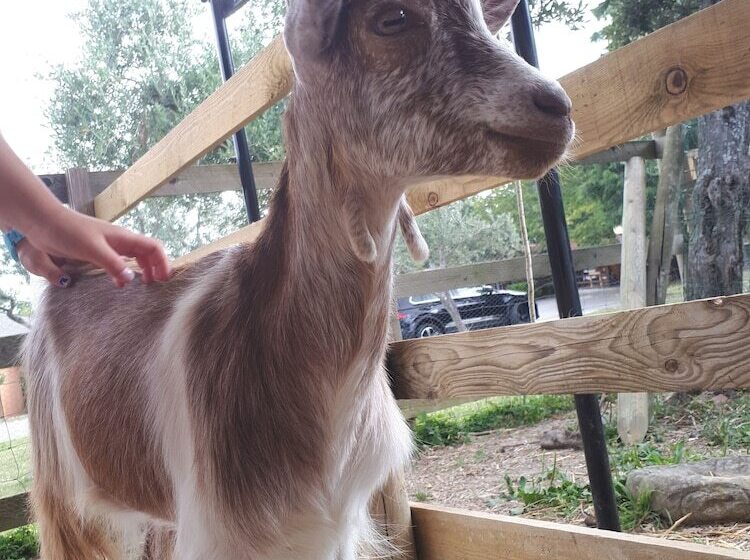 هتل Garden Village San Marino