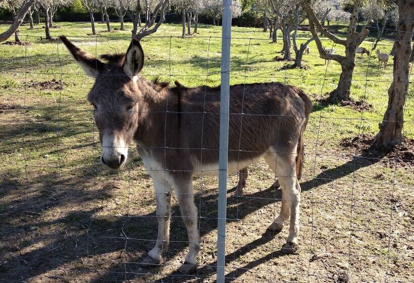 هتل Garden Village San Marino