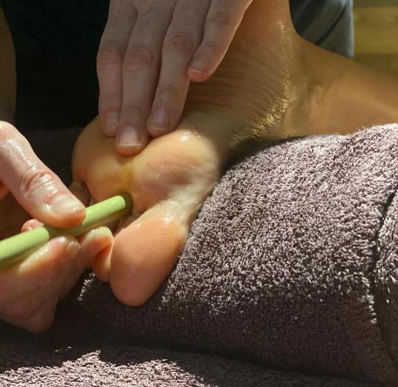 Gran Paradiso Hotel Spa