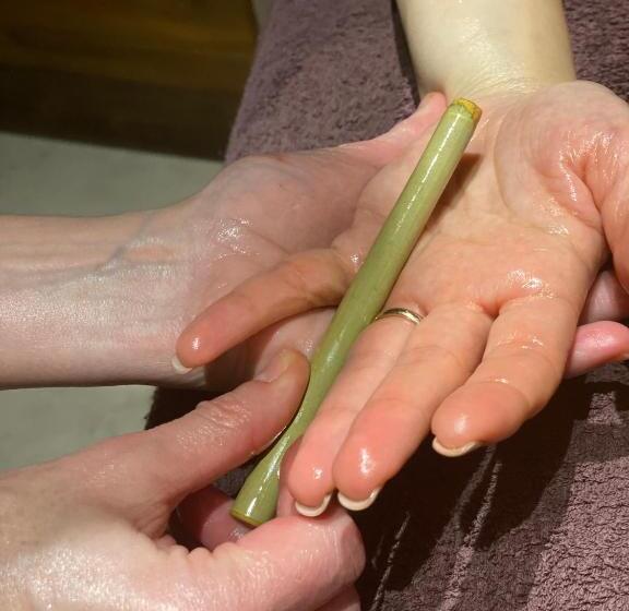 Gran Paradiso Hotel Spa