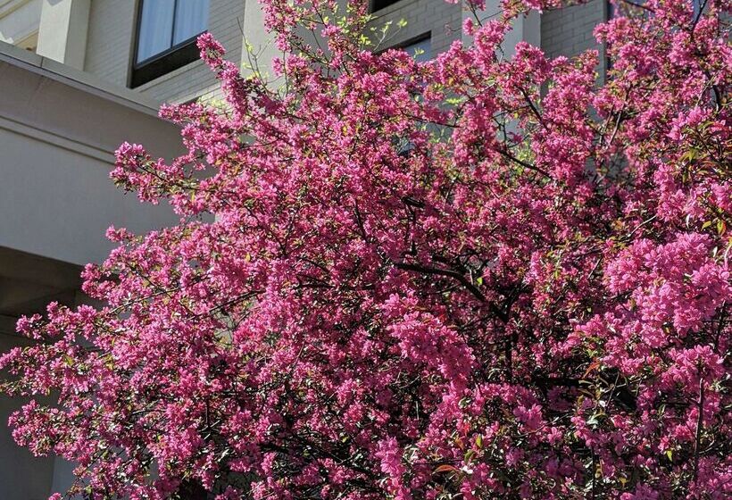 호텔 Hampton Inn & Suites Cincinnati Union Center