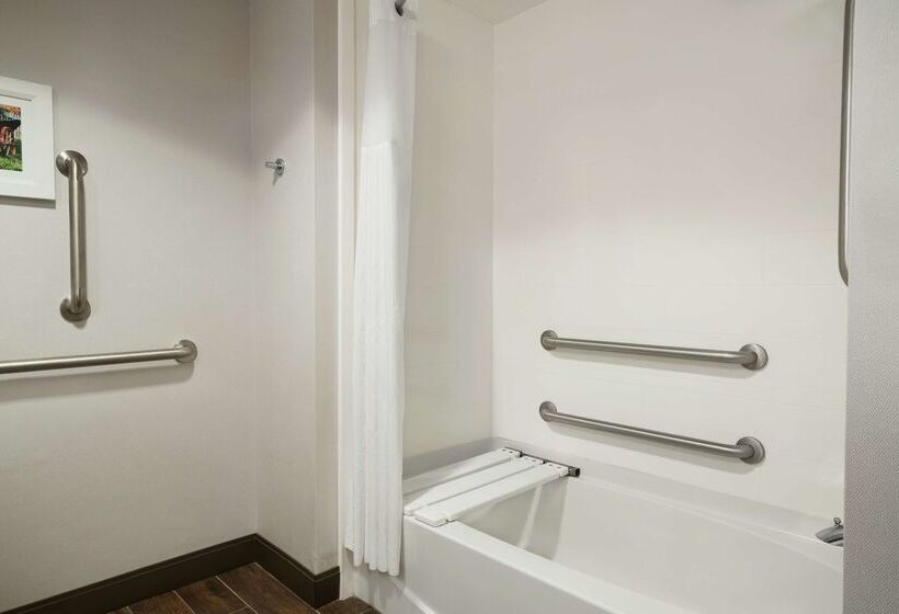 ホテル Hampton Inn & Suites Ephrata   Mountain Springs