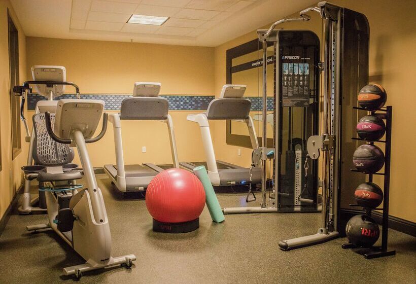فندق Hampton Inn & Suites Lathrop