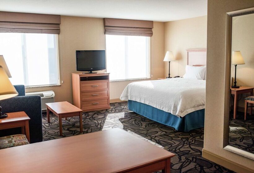 فندق Hampton Inn & Suites Lathrop