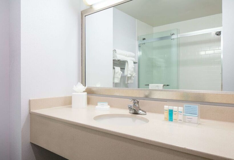 Отель Hampton Inn Council Bluffs