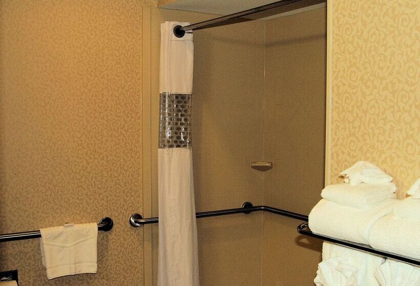 酒店 Hampton Inn Hadley Amherst Area