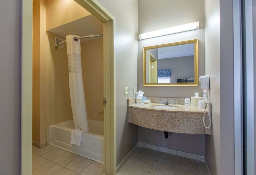 酒店 Hampton Inn Hadley Amherst Area