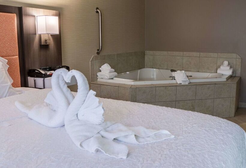 酒店 Hampton Inn Hadley Amherst Area