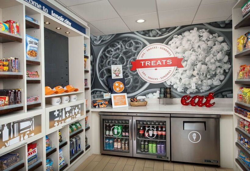 فندق Hampton Inn Lenoir City