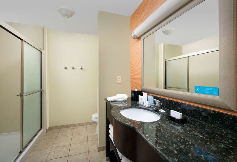 فندق Hampton Inn Lenoir City