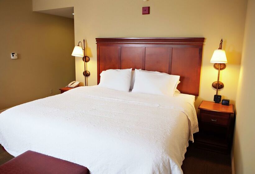 فندق Hampton Inn Martin