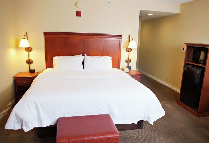 فندق Hampton Inn Martin