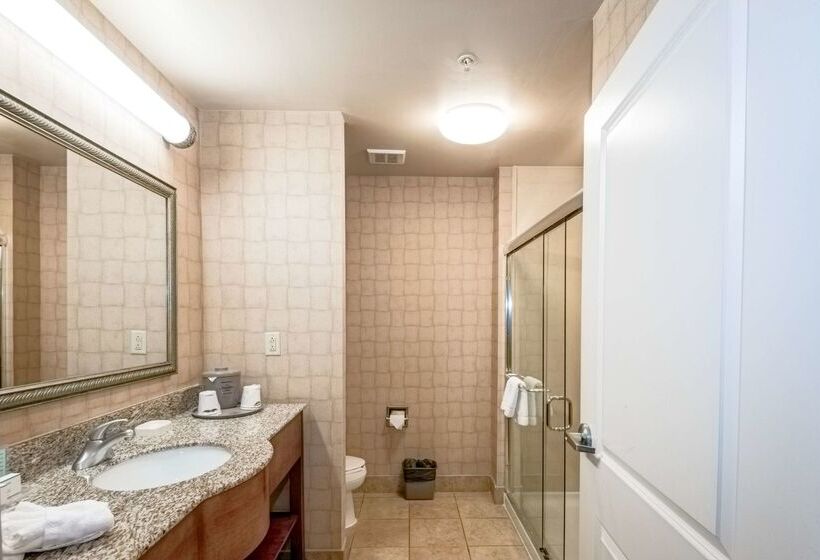 ホテル Hampton Inn Montgomery South Airport