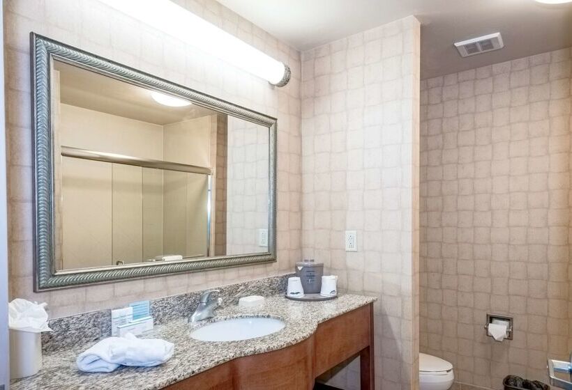 ホテル Hampton Inn Montgomery South Airport