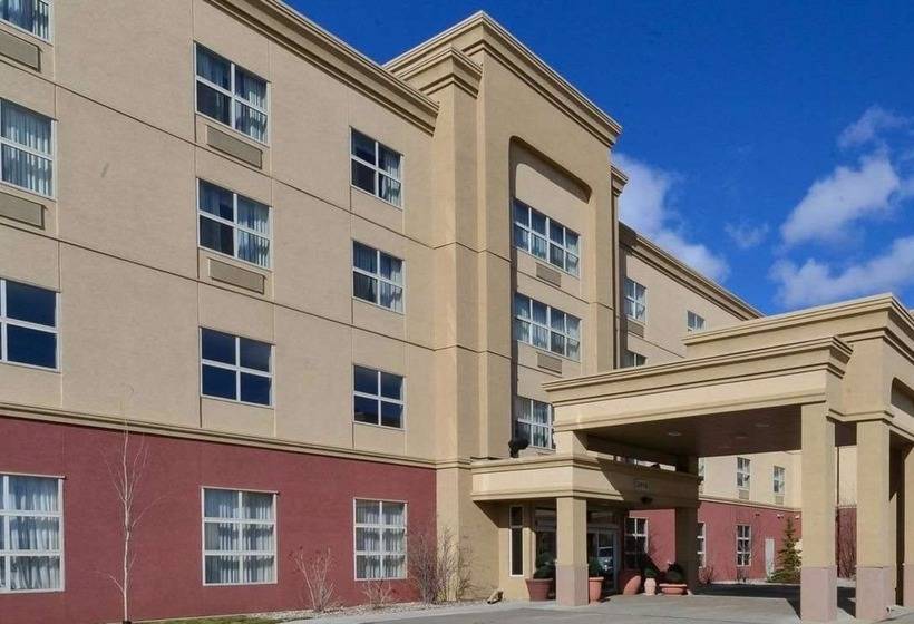 فندق Hampton Inn & Suites By Hilton Edmonton Intl Airport