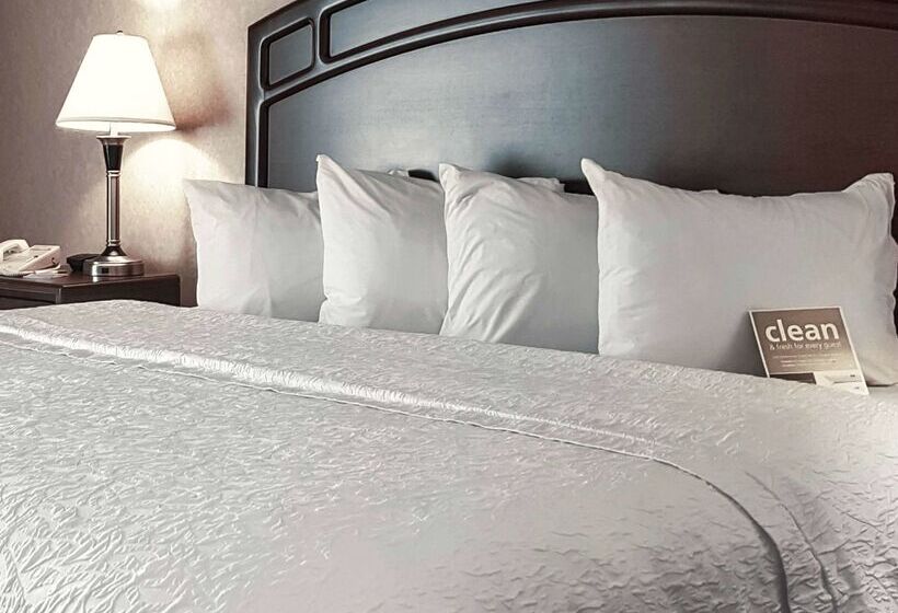 فندق Hampton Inn & Suites By Hilton Edmonton Intl Airport