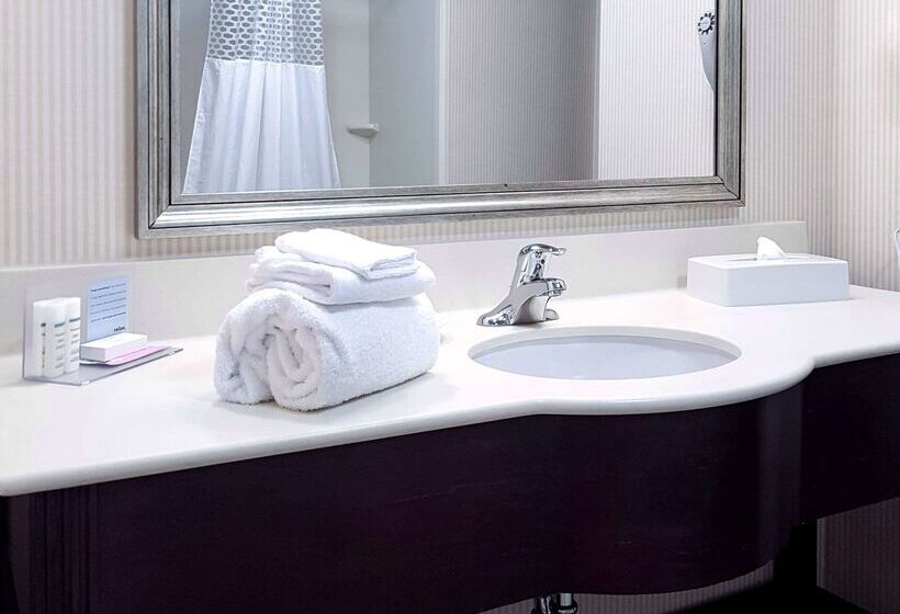 فندق Hampton Inn & Suites By Hilton Edmonton Intl Airport