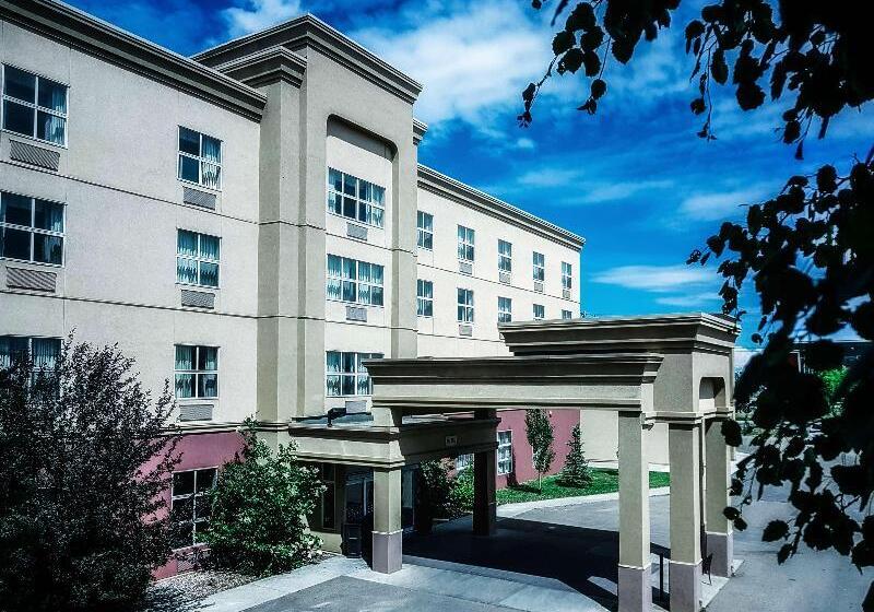 فندق Hampton Inn & Suites By Hilton Edmonton Intl Airport