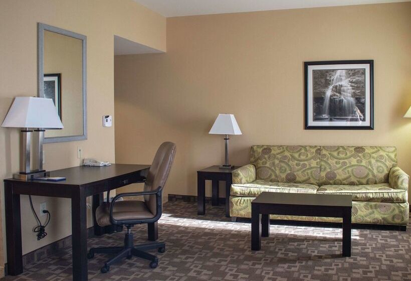 هتل Hampton Inn & Suitesknoxville/north I75