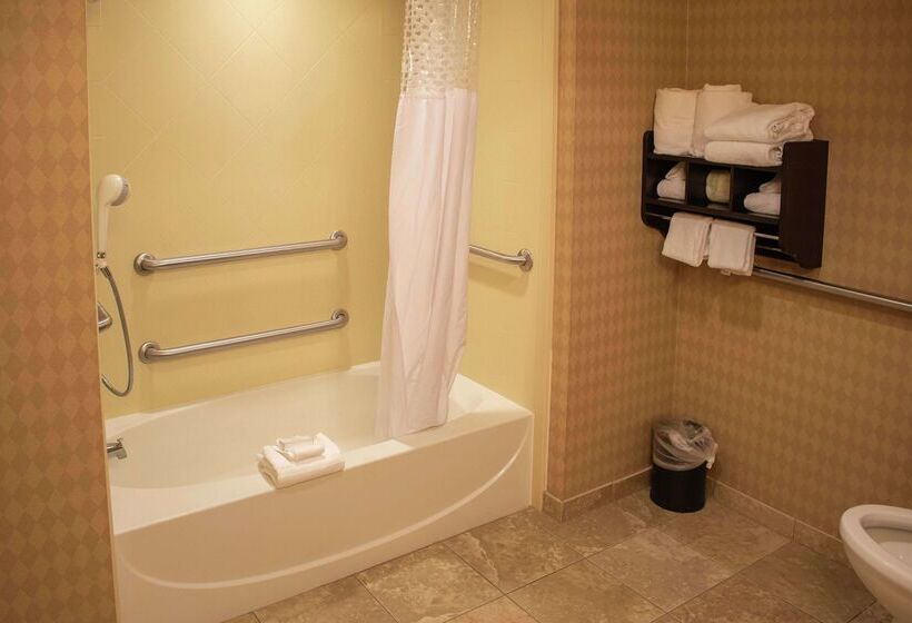 هتل Hampton Inn & Suitesknoxville/north I75