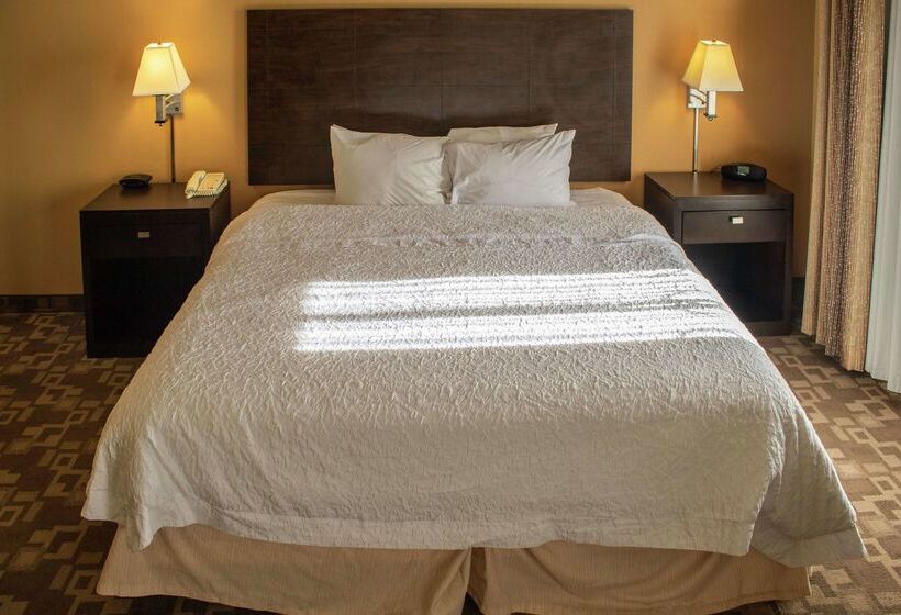 هتل Hampton Inn & Suitesknoxville/north I75