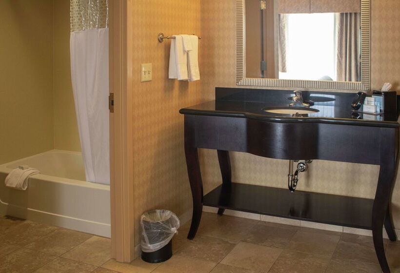 هتل Hampton Inn & Suitesknoxville/north I75