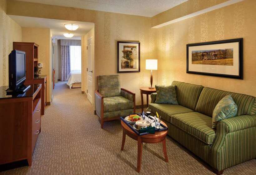 فندق Hilton Garden Inn Lakewood