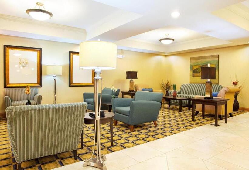 Holiday Inn Express Hotel & Suites Chicago South Lansing, An Ihg