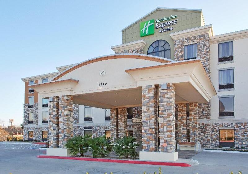 Holiday Inn Express Hotel & Suites Dallas South   Desoto, An Ihg