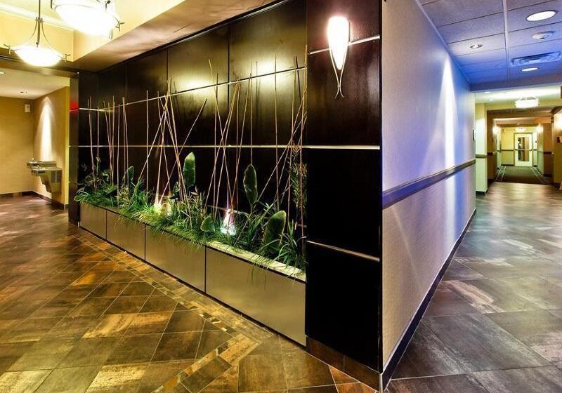 Holiday Inn Express Hotel & Suites Dallas South   Desoto, An Ihg