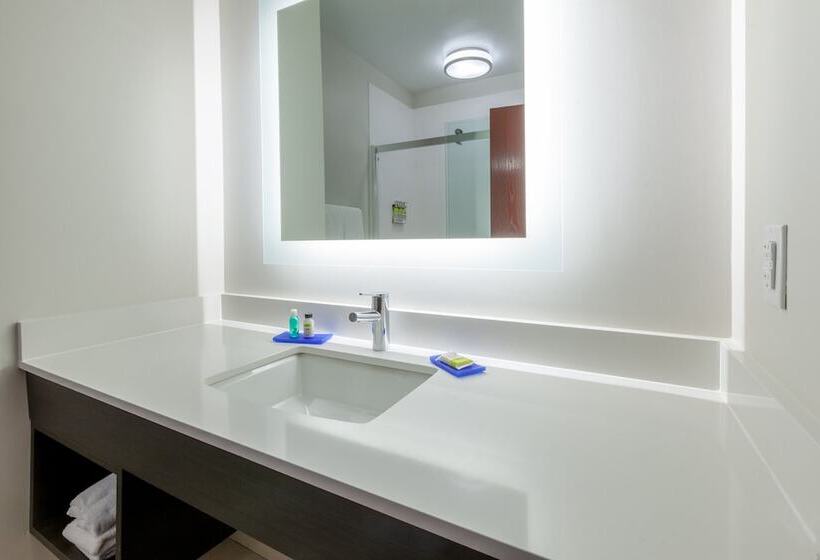 Holiday Inn Express Hotel & Suites Woodhaven, An Ihg