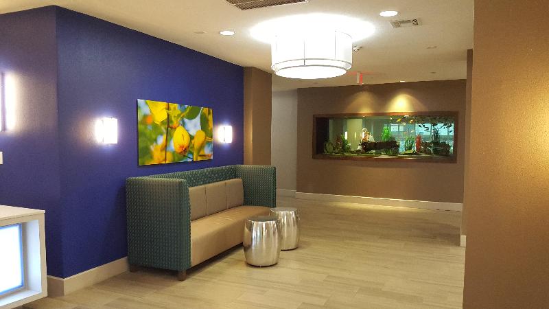 فندق Holiday Inn Express Pearland, An Ihg