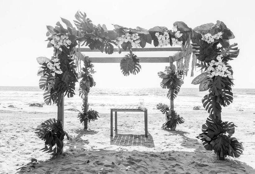 酒店 Imanta Resorts Punta De Mita