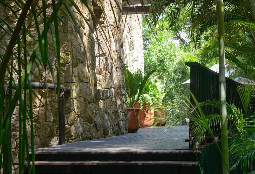 酒店 Imanta Resorts Punta De Mita