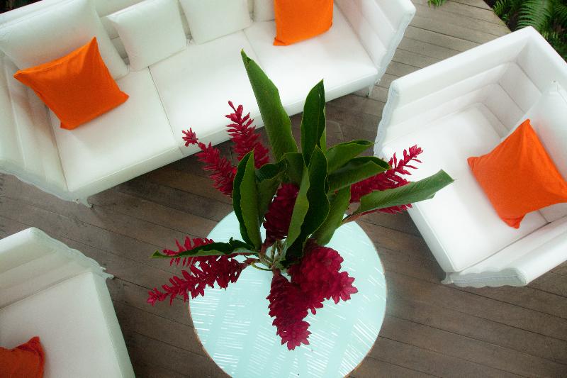 فندق Le Cameleon Boutique