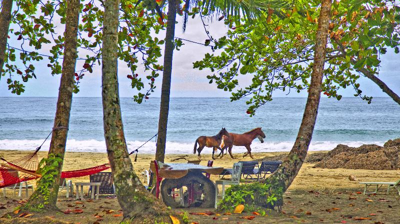 فندق Le Cameleon Boutique