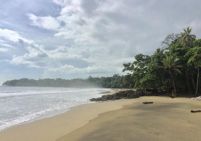 فندق Le Cameleon Boutique