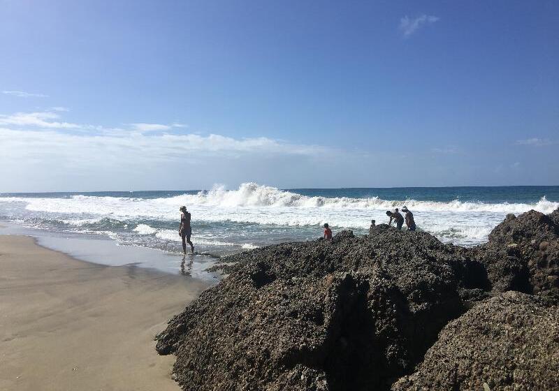 فندق Le Cameleon Boutique