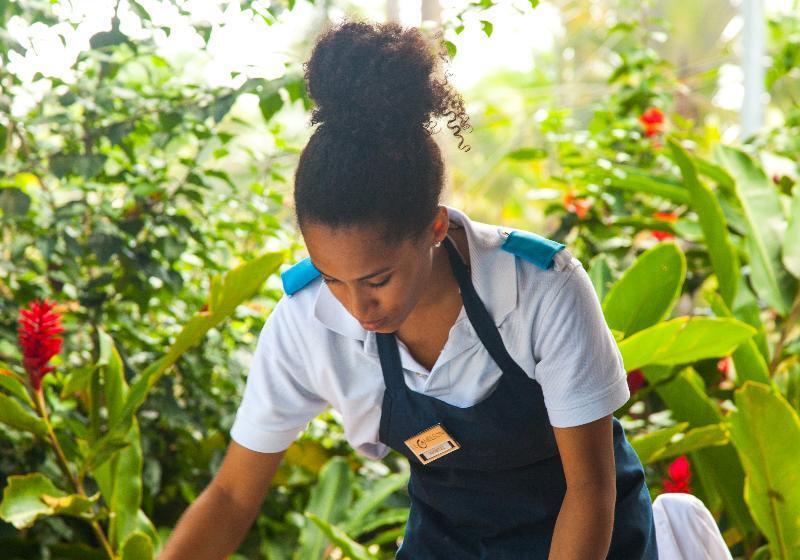 فندق Le Cameleon Boutique