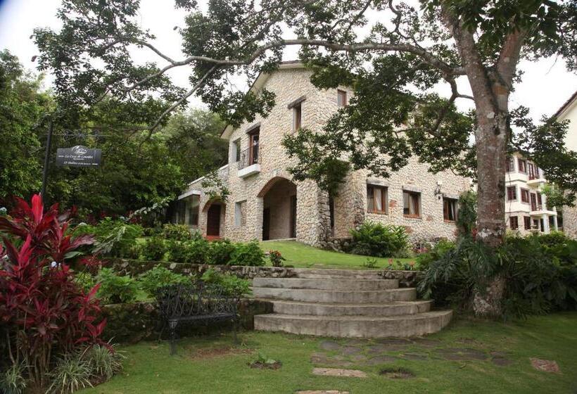 ホテル Los Mandarinos Boutique  And Spa