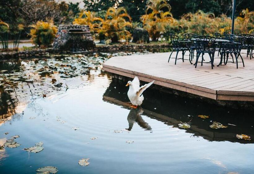 ホテル Los Mandarinos Boutique  And Spa