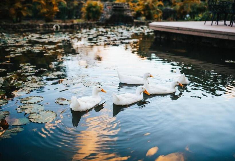 ホテル Los Mandarinos Boutique  And Spa