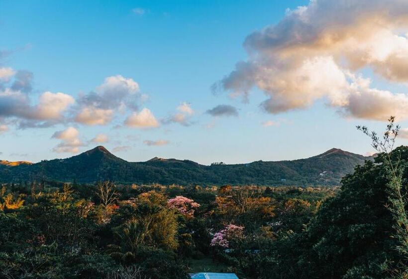 ホテル Los Mandarinos Boutique  And Spa