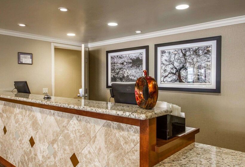 Med Park, Ascend Hotel Collection