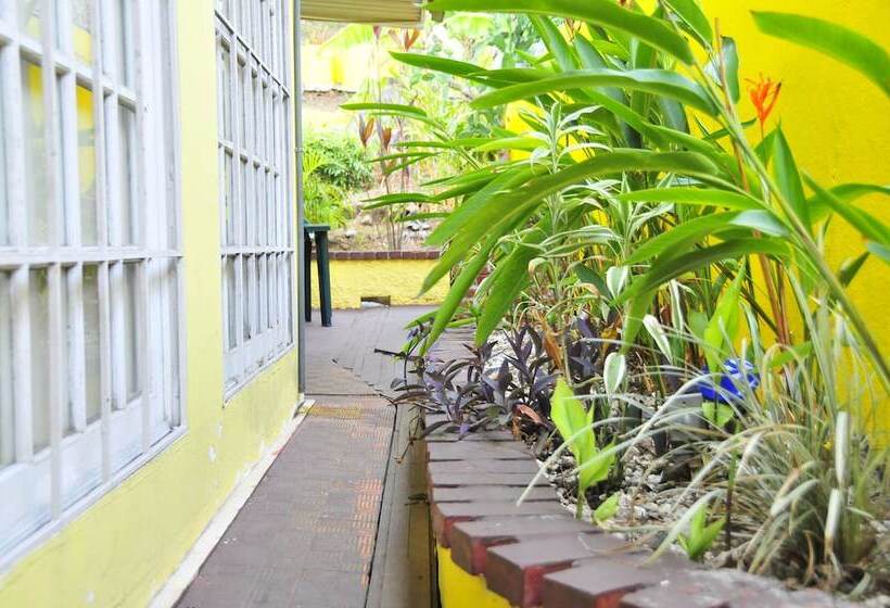 בית מלון כפרי Mediterranean Dreams