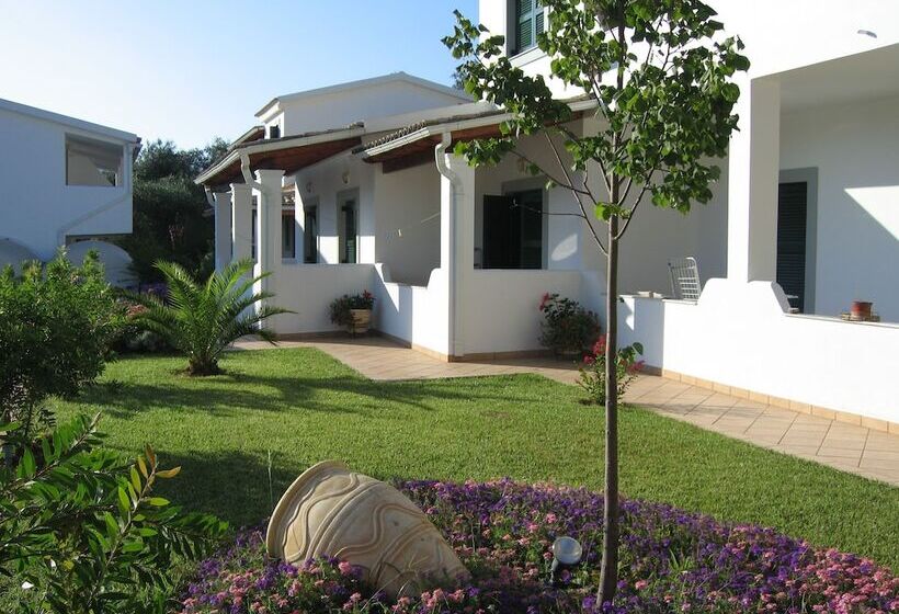 Отель Paradise Inn