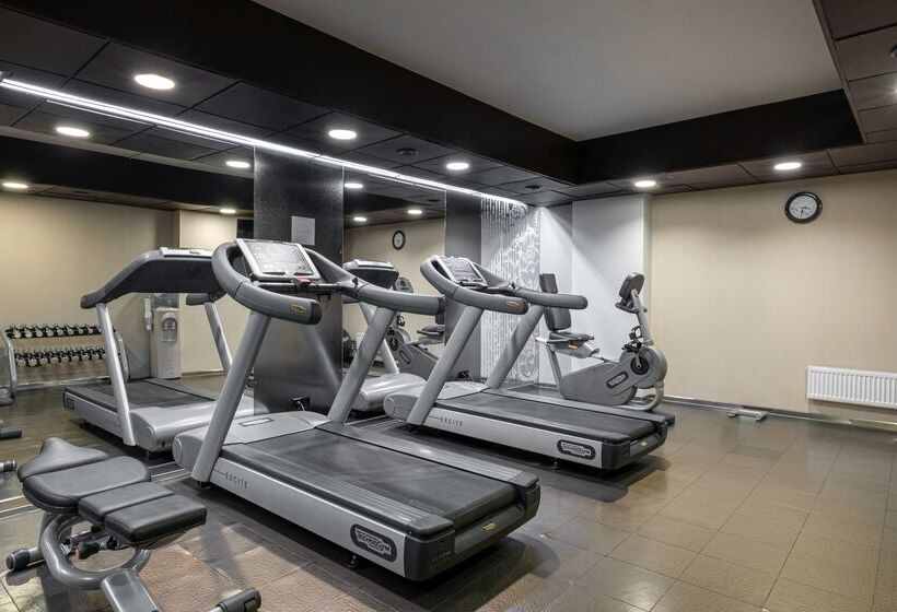 Radisson Sonya Hotel, St. Petersburg