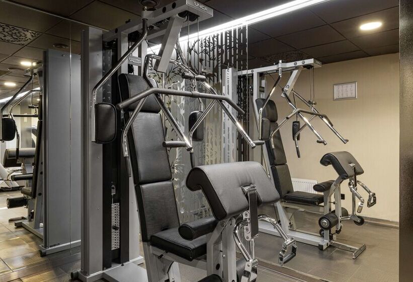 Radisson Sonya Hotel, St. Petersburg